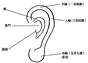 耳轮,天轮,地轮,人轮,风门,风挡,耳廓,垂珠