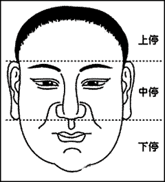 三停的位置