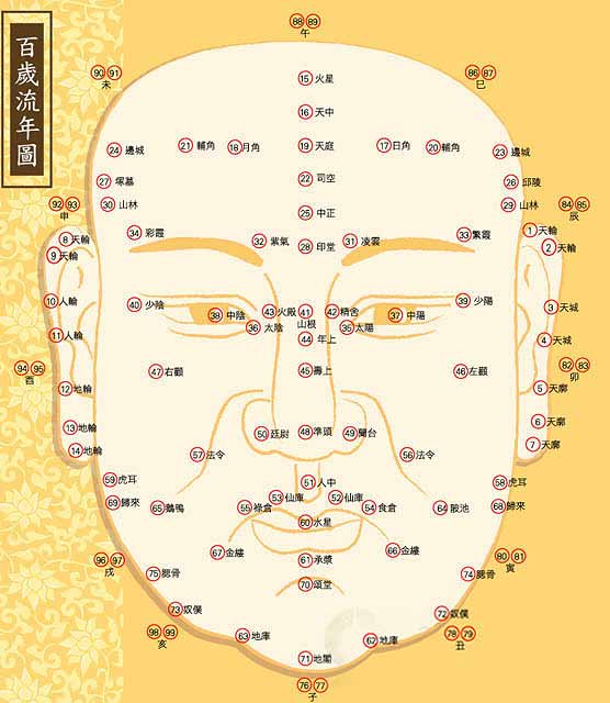 百岁流年图