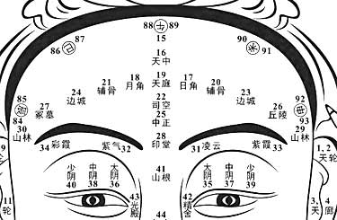 前额的重要面相位置