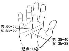 事业线的位置和代表年龄段