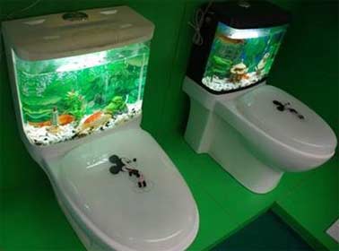 卫生间的鱼缸