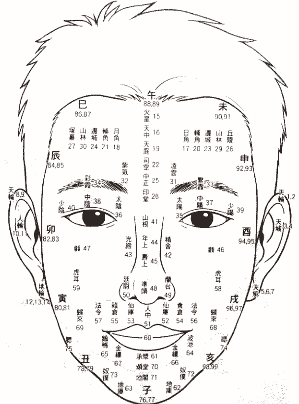 百岁流年图