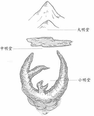 大明堂,中明堂,小明堂图解