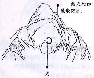 风水中的窝钳乳突图案图片