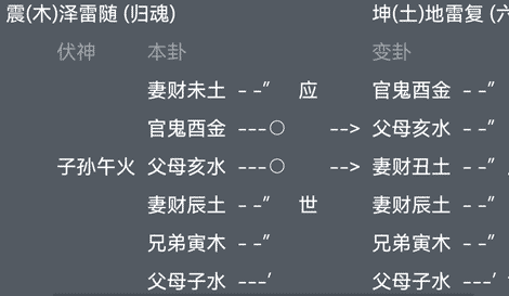 泽雷随变地雷复辰酉六合